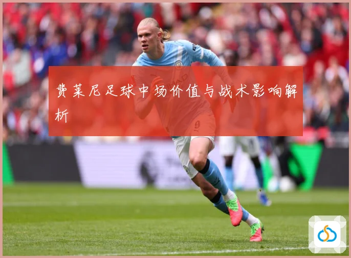 费莱尼足球中场价值与战术影响解析
