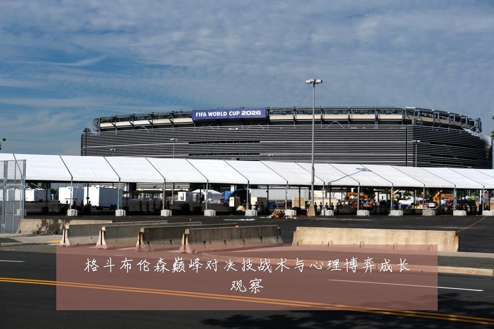 格斗布伦森巅峰对决技战术与心理博弈成长观察