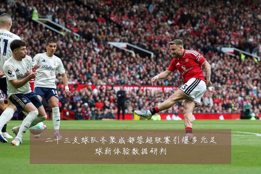 二十三支球队齐聚成都蓉超联赛引爆多元足球新体验数据研判